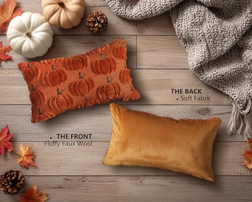 4TH Emotion Fall Pumpkins Decorative Pillow Covers 18x18 Set of 2, Beige Soft Plush Faux Fur Wool Farmhouse Throw Cushion Cases for Autumn Thanksgiving Holiday Home Decorations