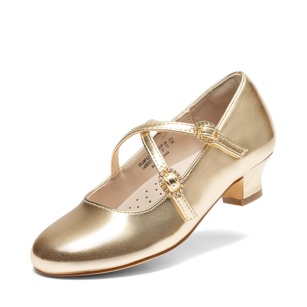 Dream Pairs Girls Dress Shoes Mary Jane High Heel Round Toe Straps Pumps Flower Wedding Party Princess Flats for Little/Big Kids