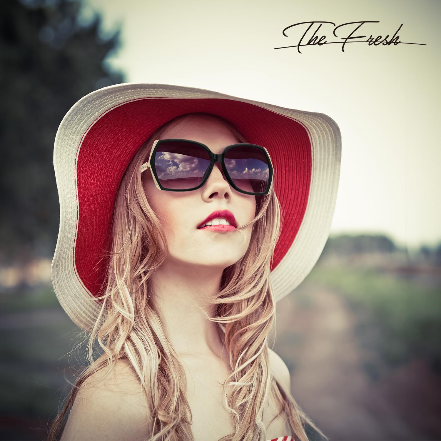 The Fresh Classic Crystal Elegant Women Beauty Design Sunglasses Gift Box