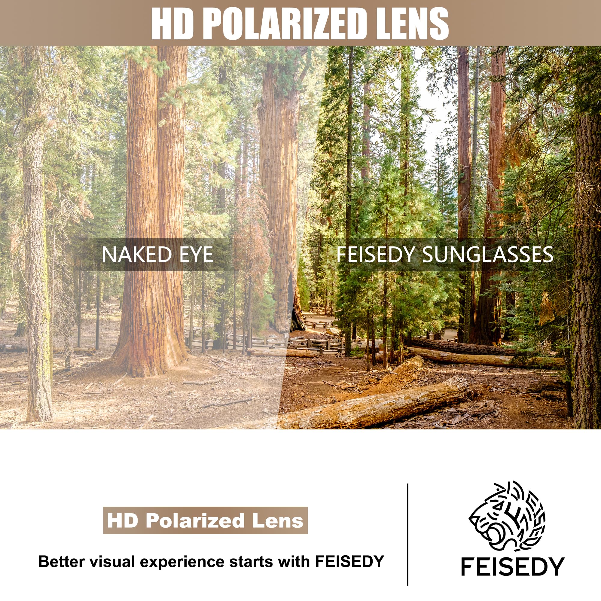 FEISEDY Polarized Women Sunglasses Retro Shades Photochromic Lens Sparkling Crystal Sunglasses UV400 Protection B0144